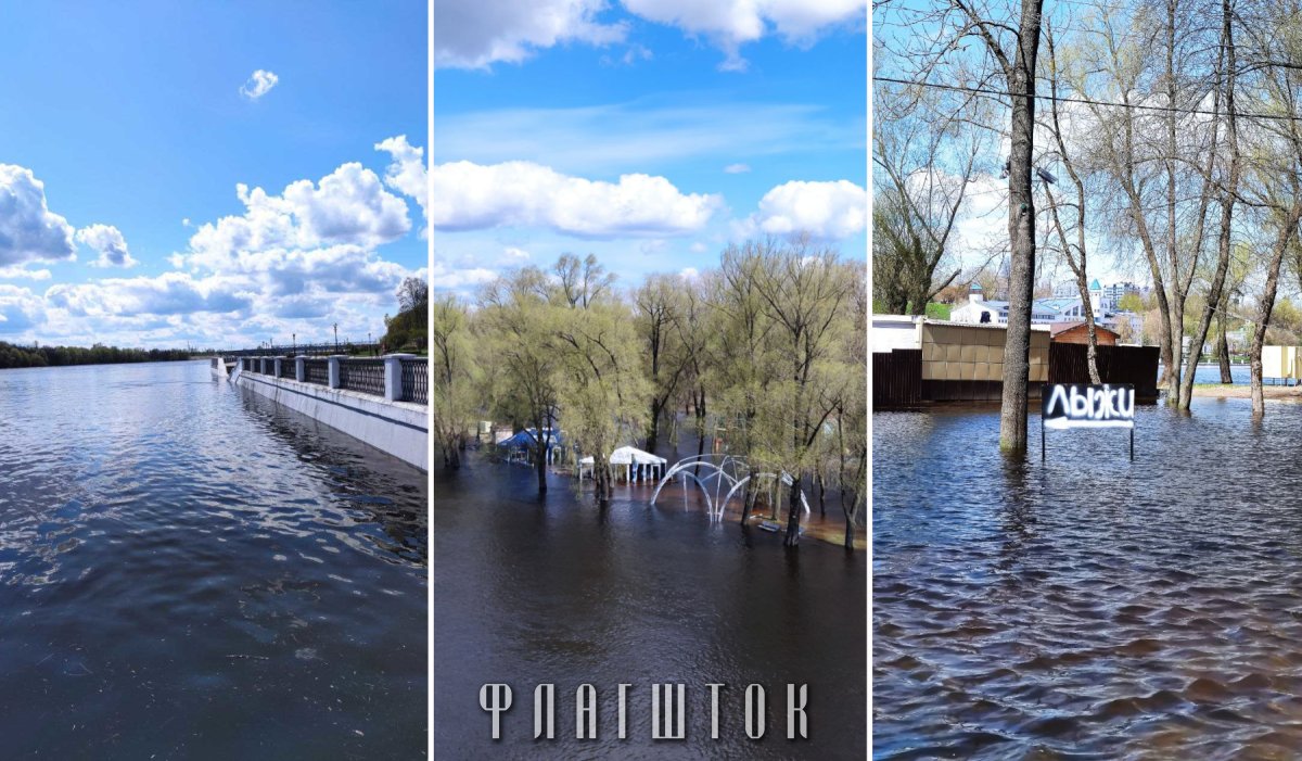 Подъем реки сож. Гомель паводки. Разлив СОЖ. Гомель затопление.